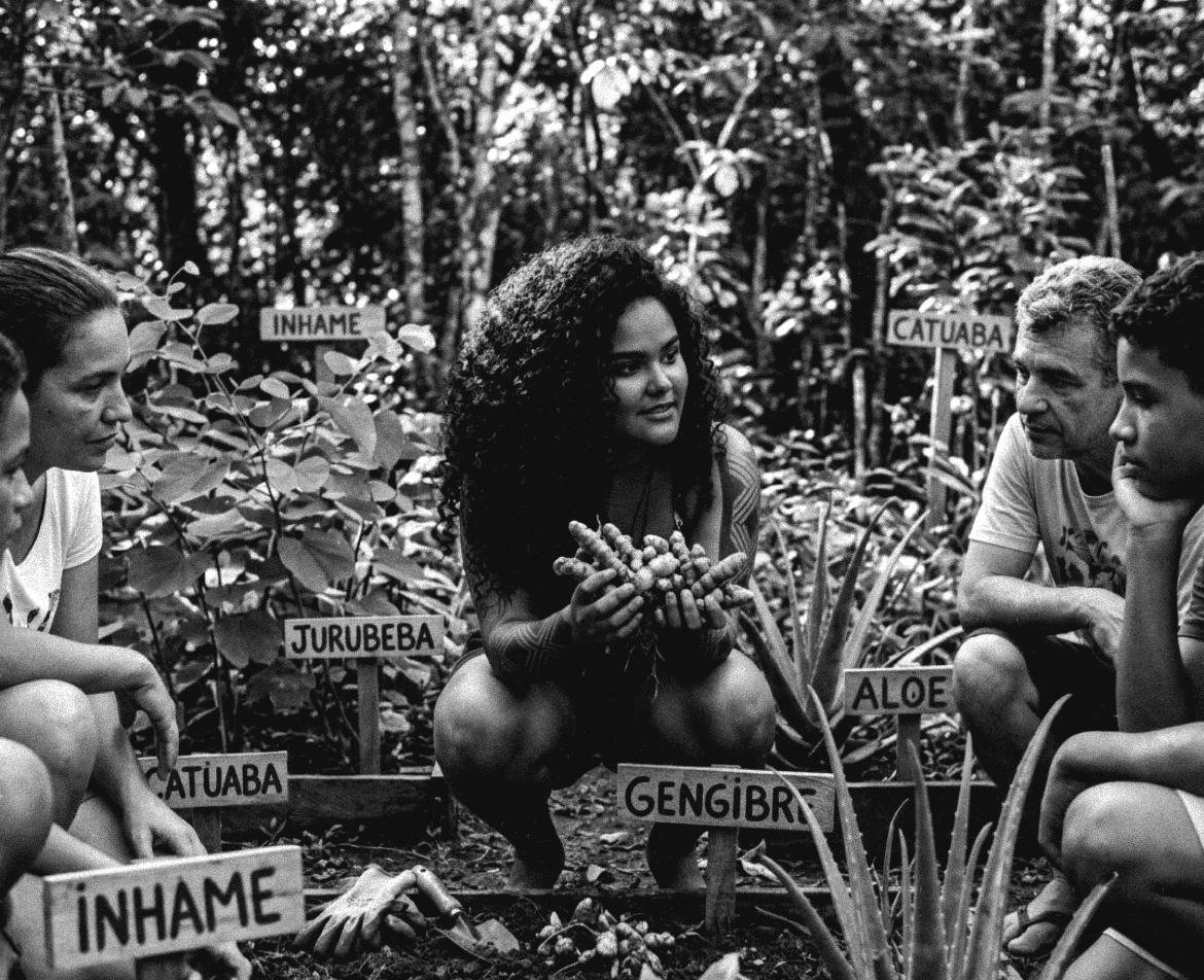 A-yá agachada numa horta medicinal, segurando raízes de gengibre, conversando com famílias da comunidade; plaquinhas identificam inhame, catuaba, jurubeba, aloe e gengibre
