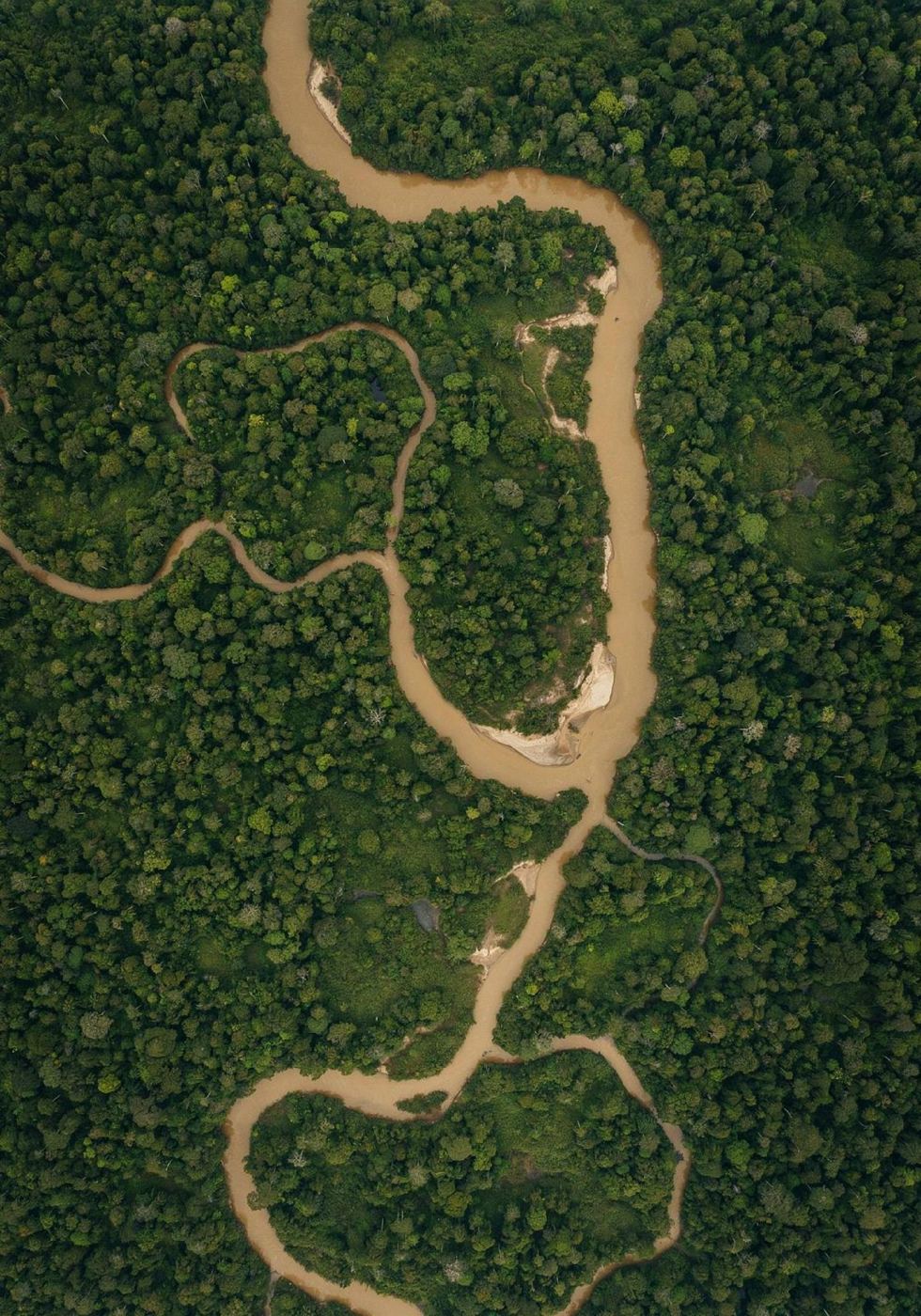 Vista aérea de um rio barrento serpenteando pela floresta amazônica